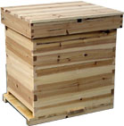 beehive bee hives photo