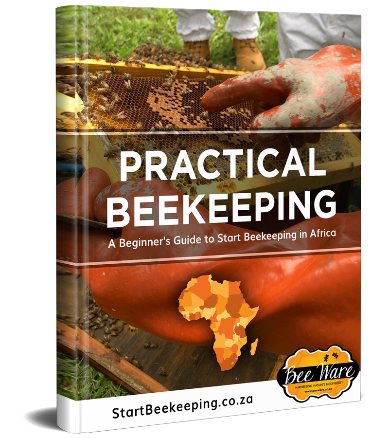 bee pdf for beekeeping